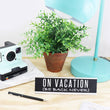 Load image into Gallery viewer, 8" Black Desk Sign - Queen of Everything